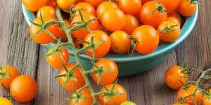 Golden Cherry Tomato