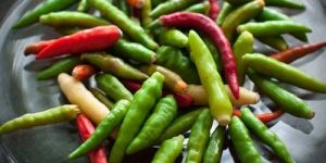 Fresh Thai Bird Chili