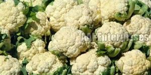 Fresh Cauliflower