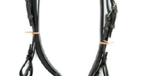 Horse Briddle