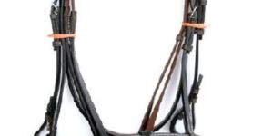 Horse Riding Accessories
