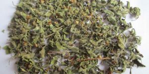 Tulsi Leaves