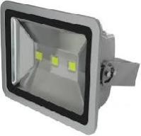 LED Flood Lamp