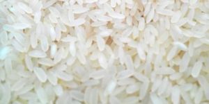 Ponni Rice