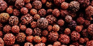 Rudraksha Beads