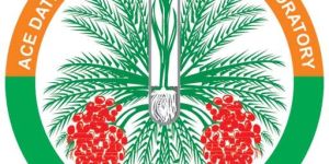 Tissue Culturally Propogated Plants