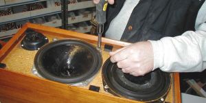 Speaker Repairing Services