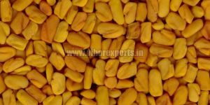 Fenugreek Seeds