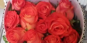 Dutch Stem Rose Flowers