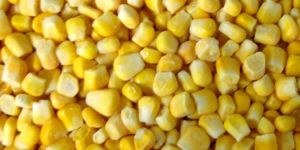 Corn Kernels