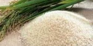 Ponni Parboiled Rice