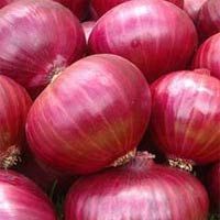 Red Onion