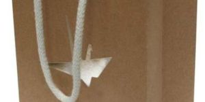 Rope Handle Paper Carry Bags