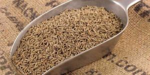 Cumin Seeds