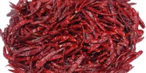 Dried Red Chilli
