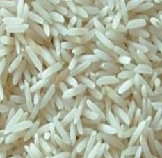 Pusa Basmati Rice