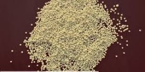 Calcium Ammonium Nitrate