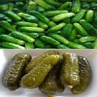 Gherkins