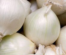 White Onion