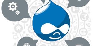 Drupal CMS Web Development