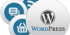 WordPress CMS Web Development