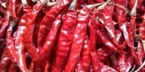 Dried Red Chilli