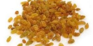 Dry Raisin