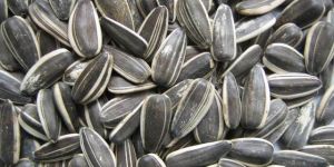 Sunflower Seeds