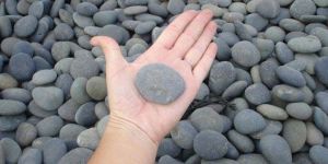 Mexican Beach Pebbles