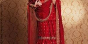 Designer Lehenga Choli
