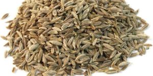 Cumin Seeds