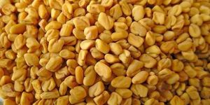 Fenugreek Seeds