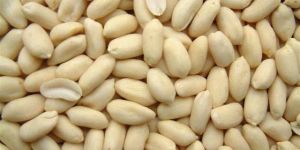 Whole Blanched Groundnuts