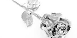 Silver Plated Rose