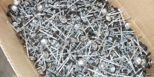 Roofing Nails
