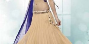 Designer Lehenga Choli