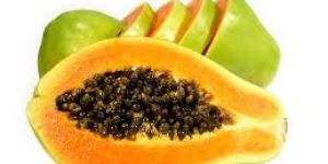 Fresh Papaya