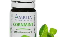 Corn Mint Oil