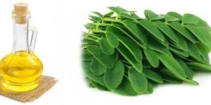 Moringa Oil