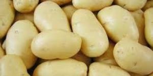 Laukar Potato