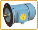 Flange Mounted Motors