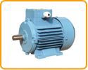 Inverter Duty Motors
