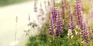 Kerala Tours Service