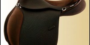 All Purpose Saddle
