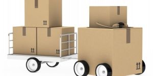 Domestics Logistics Services in Delhi NCR