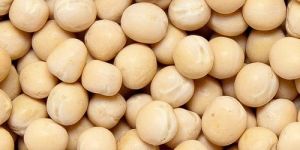 Yellow Peas