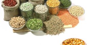 Indian Pulses