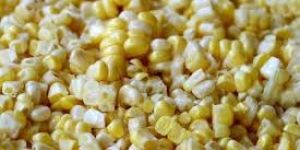 Yellow Corn Seeds