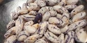 White Speckled Kidney Beans