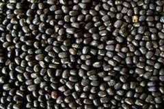 Black Whole Urad Dal